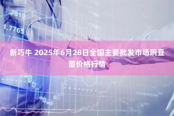 新巧牛 2025年6月28日全国主要批发市场豌豆苗价格行情