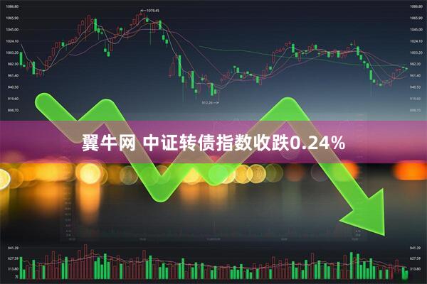 翼牛网 中证转债指数收跌0.24%